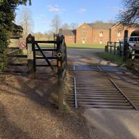 The cattle grid is the beginning of the deer park loop. Use the gate and begin walking straight on, towards the wooden security gates.