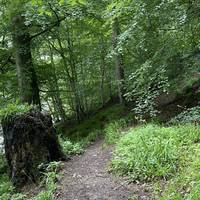 Follow the path up through the woods.