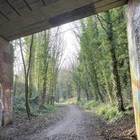 Continue under the road bridge