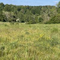 Look left for lovely views across this part of the Cranbourne Chase National Landscape.