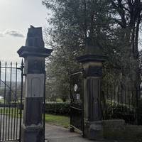 The park is open from dawn until dusk. Start the walk at the Little Theatre entrance to Saltwell Park. Head through the metal gate.