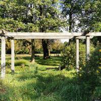 Continue past a pretty pergola on your left with mixed borders around it.