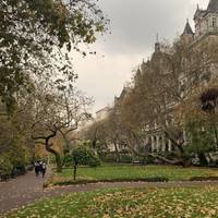 Cross the road and head into the Whitehall Gardens.