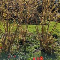 You will pass beautiful flower beds. Especially vibrant in spring and summer, take a moment to notice the colour and life around you.