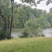 Glimpses between the trees of the lake.