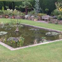 According to the Hever Castle website, they have over 4,000 roses bushes in the 125 acre site. This photo is from the Italian garden.