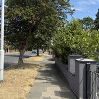 Continue along the pavement. The street trees cast some beautiful shadows that ripple in the sunshine.