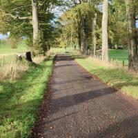 Head up treelined lane to Low Boreland Farm and Beeches Nursery