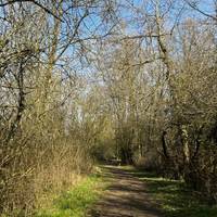 Enjoy the sights and sounds of the season as you go.