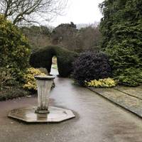 Walk up through the small terrace and head on through the hedge into an open garden with regularly changing plants.