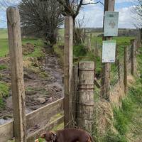 Head over the stile and into the field. (Sheep often here so dogs on leash)