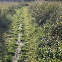 We now head out into the marsh area. The footpaths are good, but if the weather is or has been wet, you may need sensible shoes!