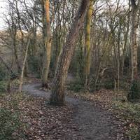 This is a very easy walk to follow as the path takes you right through the woods, curving around the trees and nearby golf course.