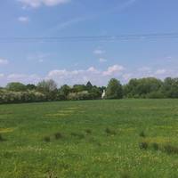 Continue walking towards Fen Ditton. What is changing around you, does the ground feel different, or are there signs of people, houses etc?