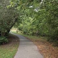 Walk along the windy path