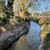 The low winter sun was illuminating the winter foliage when we created the route. How does the riverside look different when you walk?