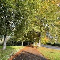 Head onto the path along the green space and turn right along it on the edge of Clifton Down.