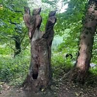 Take a look at the deadwood carvings on your left as you continue on the path.