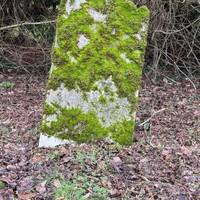 Before starting the walk look around the churchyard and see if you can find the grave of Parish Constable Trigg who was murdered in Berden