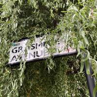 Take the first left onto Grassmere Avenue. Look out for the street sign hiding behind the vegetation!