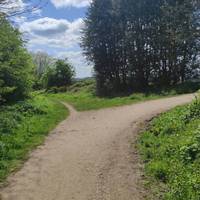Continue following the Bridleway as the path bends to the right.