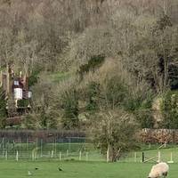 Cut across the field with the road on the right and stream (if it’s there!) on the left. The next kissing gate should be in sight.