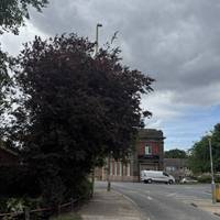 Carry on along Station Road as it bends left.