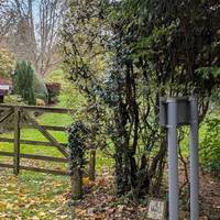After a few yards there's a muddy path on the left which takes you into the woods behind the inn.