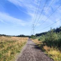 Continue along the bridleway. There's open hills on your left for your dogs to have a run.