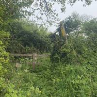 Walk along Coalpit lane, straight ahead across the crossroads, then turn left when you reach a waymarked stile.