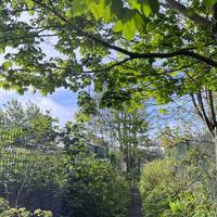 Follow the path all the way down. Enjoy the dappled light from the trees. Either side is private land that leads to the waterside.