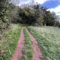 Walk ahead uphill until you reach a small path through the trees on the left.