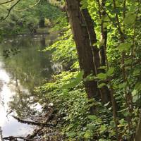 Bradbourne Lakes Park was acquired by Sevenoaks District Council in 1935.