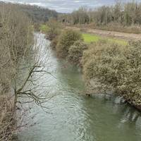 Look left for views down to the Avon and the railway lines. There are a few benches along here.