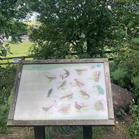 Can you spot any birds?