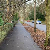 Another gloriously tree 🌳 lined street in the leafy suburb, keep heading down the street.