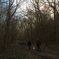 It has retained its estate character and has the oldest Scots pines of the dune reserve (1860)...