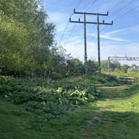 At the end of the grass path, take the one on the right and walk over the mini bridge.