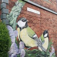 Great tits by Faunographic. 
Walk down Brooklyn Road then turn right onto Valley Road briefly.