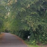 At a small gatehouse, the lane enters a beautiful avenue of lime trees.