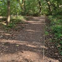 Continue up a slight ascent which then verves slightly right.