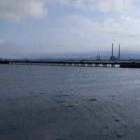 The wooden bridge leads on to North Bull Island, a UNESCO nature reserve and public park.