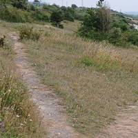 Where the path forks take the left branch
