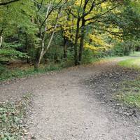 Your onward route is soon joined by another path coming in from the left. There are some low overhanging trees here.