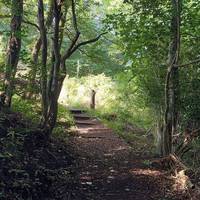 Head along the Riverside path, and look out for heron, ducks, or even an otter! Keep the river on your right hand side.