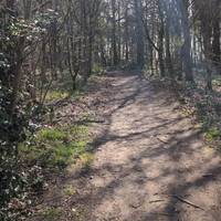 Take the footpath on the right through the woods