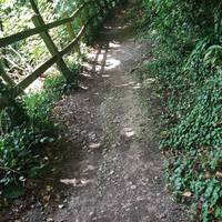 You'll reach another kissing gate, go through this and take path to your left. You're in the wood, following the Frome river to your left