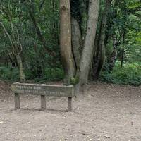 Take the path to your left (Quarry Woods with steps)