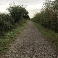 Continue on the footpath. The hedge blocks most of the canal view but there are some gaps where you can access the parallel canal towpath.