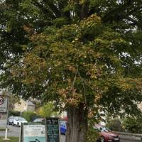 On the other side of the bridge. Get ready to turn right.